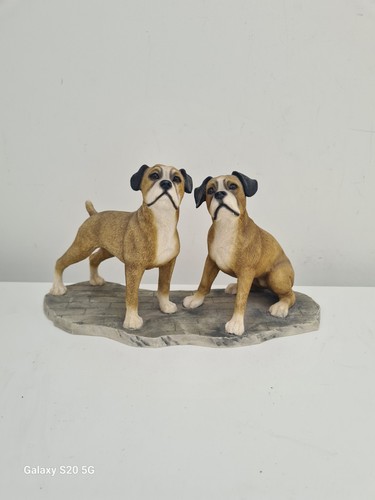 Großer hellbrauner boxer hund - großer,