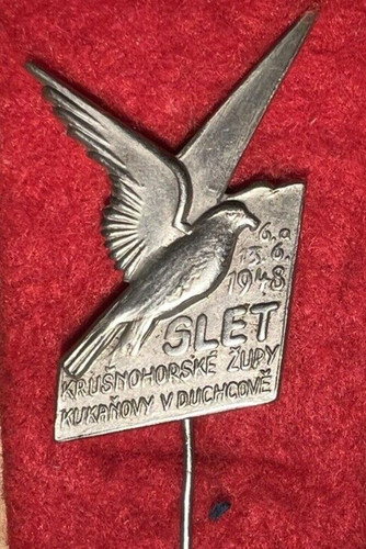 Abzeichen anstecknadel pin - anstecknadel,