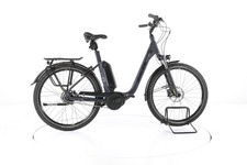 Raleigh Kingston 8 City E-Bike