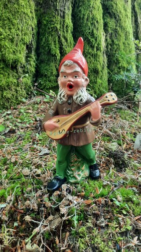 Gartenzwerg mit laute heissner - gartenzwerg,