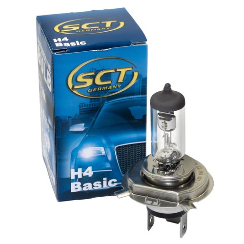 Glühbirne basic 12v - glühbirne,