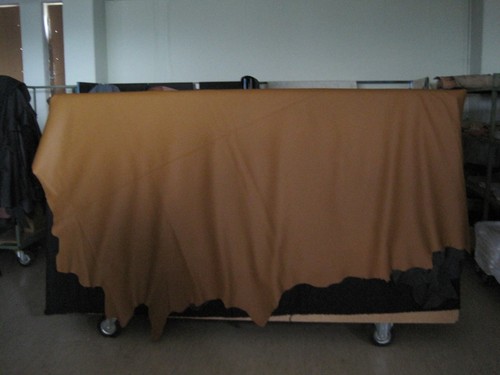 Lederhaut - ,