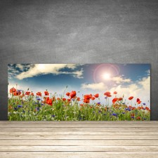 Küchenrückwand aus Glas ESG