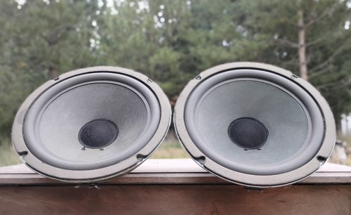 Original ess amt3 rock monitor - rock,