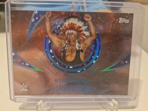 2025 topps universe wwe chief - 2025,