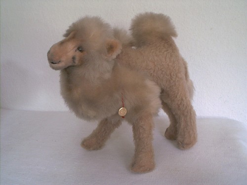 Herrmann teddy kamel - kamel,