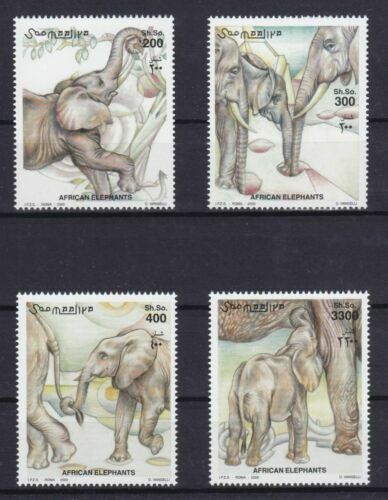 Somalia 2000 elefanten - somalia, /