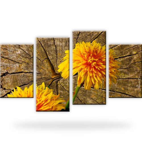 Pusteblume blume wandbilder - blume,