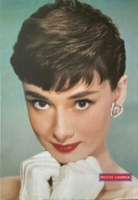 Audrey Hepburn Beauty Icon