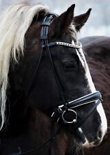 Trense Deluxe 2 Schwarz weiß unterlegt  rund genäht Leder VB WB XF XXF Kaltblut