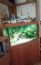 Eckaquarium mit Unterschrank