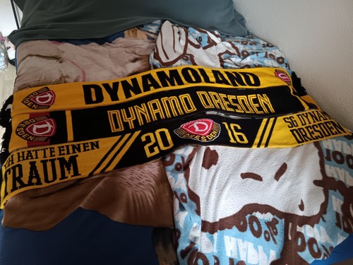 Verkaufe dynamo dresden schals - dynamo,