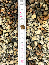 Blähton für Hydrokultur, Pflanzengranulat gebraucht, sortenrein ca. 10 mm