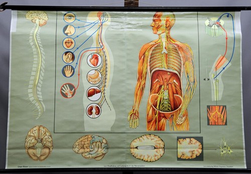 Schulwandkarte lehrtafel - schulwandkarte,