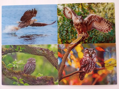 Ansichtskarte adler eulen - d,