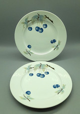 Rosenthal Donatello Kirschen 2