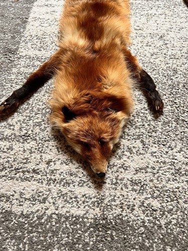 Fuchs stola schal fellschal - schal,