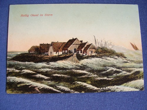 Postkarte hallig oland - hallig, im
