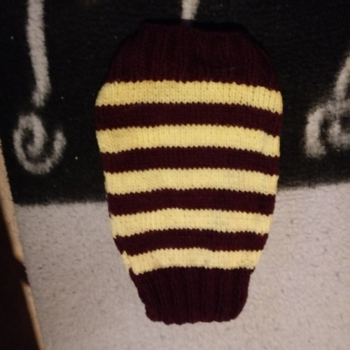 Hunde pulli - hunde,