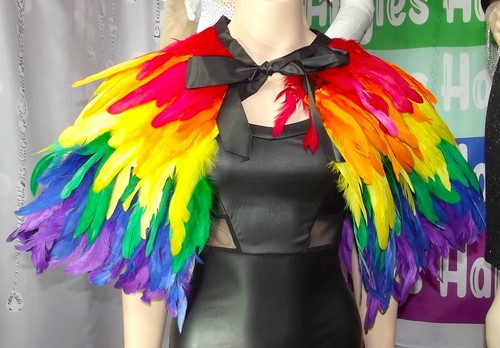 Regenbogen feder - regenbogen,
