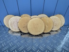 trockene Baumscheiben  rund