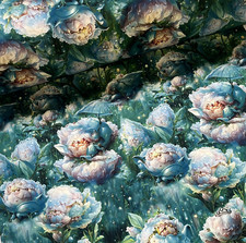 Baumwollstoff Meterware