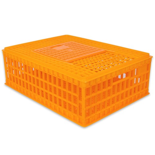 Geflügel transportbox mit - transportbox,