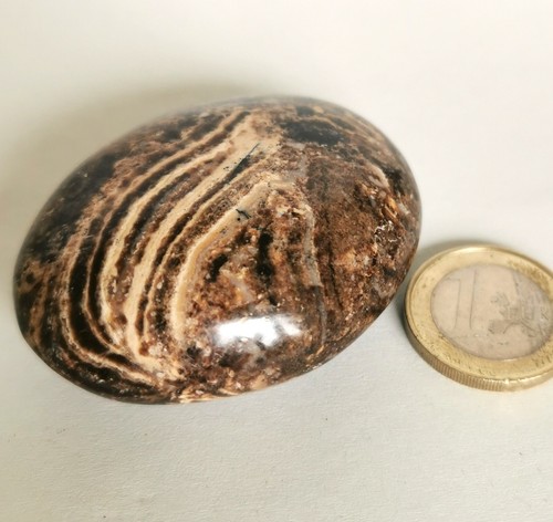 Holzopal jumbo edelstein - jumbo,,