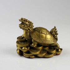 Drachenschildkröte auf