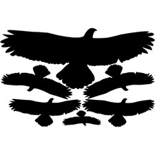 Vogelschutz Aufkleber Fenster