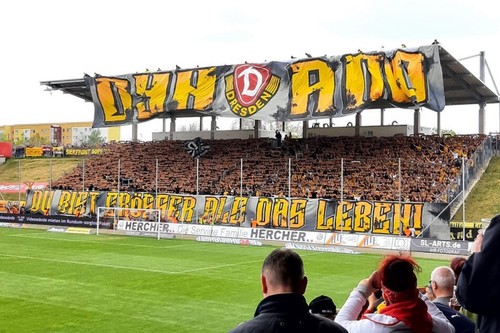 Suche dynamo dresden schal - suche,