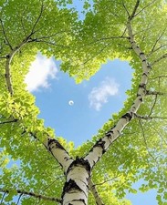 Jil Sander Woman Pure 125 ml