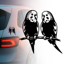 Auto Aufkleber |Wellensittich