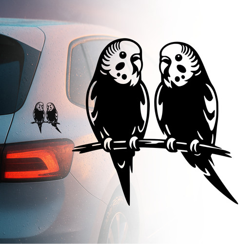 Auto aufkleber wellensittich - auto,