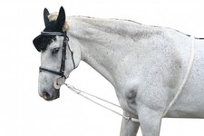 Longierhilfe Baumwolle  Pony weiß 2m