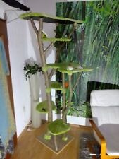 kratzbaum xxl Mit Natur holz Stamm 