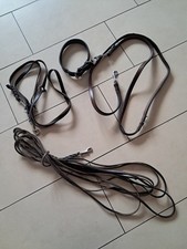 Leine Lederleine Schleppleine Halsand