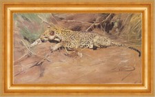 Wilhelm Kuhnert Ein Leopard A