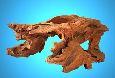 Aquarium Terrarium Deko 🐠