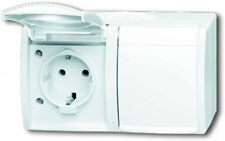 Busch Jäger 20/2 EW-54 Schuko-Steckdose 2-fach mit Klappdeckel