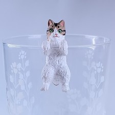 Schildpatt Katze - Burarin