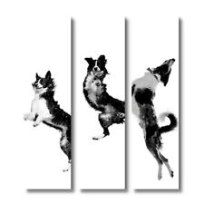 Border Collie Schild Jump Set
