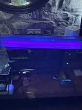 Stroboskoplampe original xenon - original,