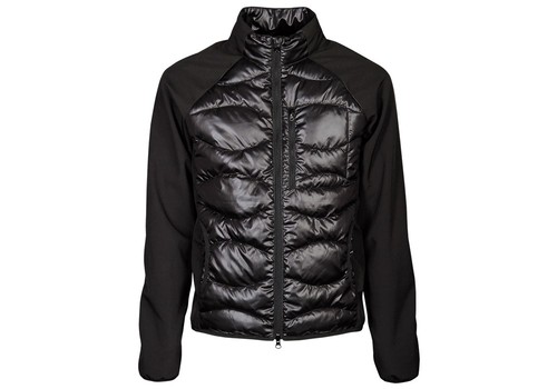 Harrys horse softshell padded - horse,