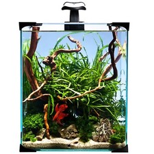 (94,10€/Stk.) diversa