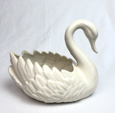 Schöner großer Schwan