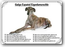 Warnschild - 20x30cm -  Lustige Eigentumsrechte - Galgo Espanol 01