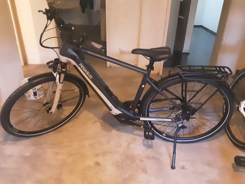 Pegasus premio evo lite - pegasus,