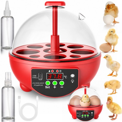 Eier inkubator brutkasten - eier-inkubator,