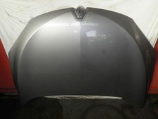 Motorhaube grau (SAN913), ein